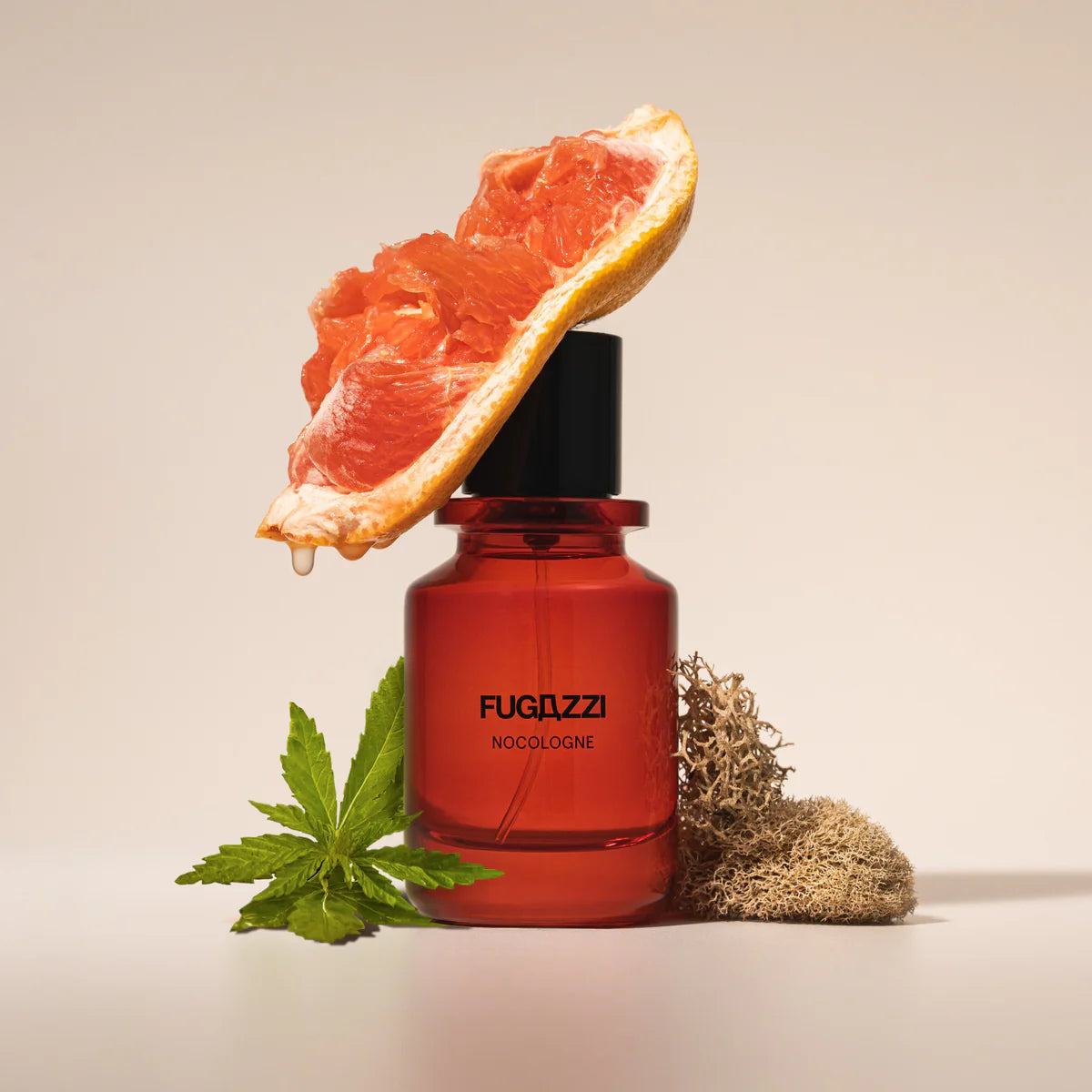 NOCOLOGNE Extrait de Parfum (3,5,10,20 ML)