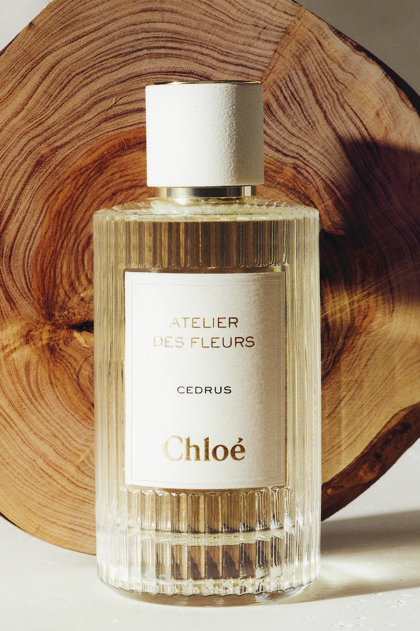 Cedrus Unisex (3,5,10,20 ML)