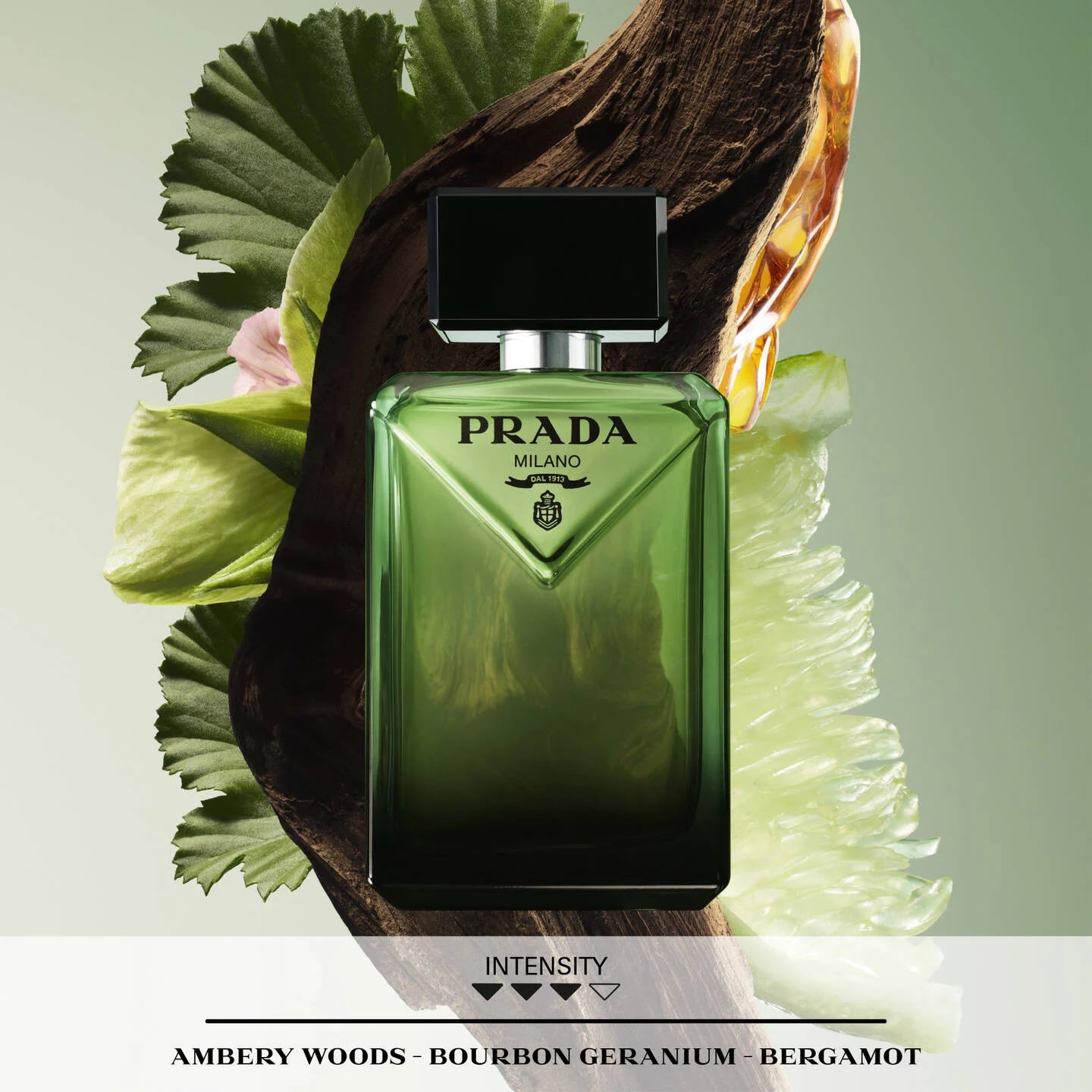 Paradigme EDP (3,5,10,20 ML)