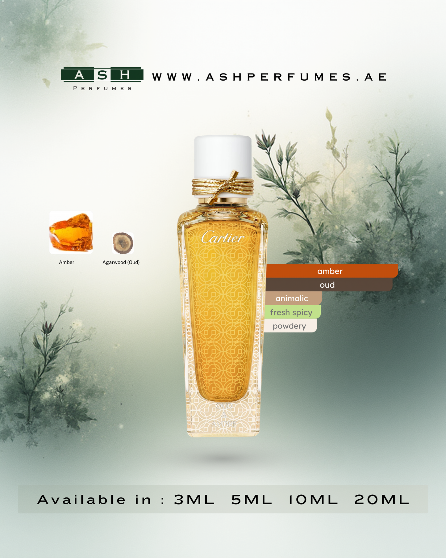 OUD & AMBRE (3,5,10,20 ML)