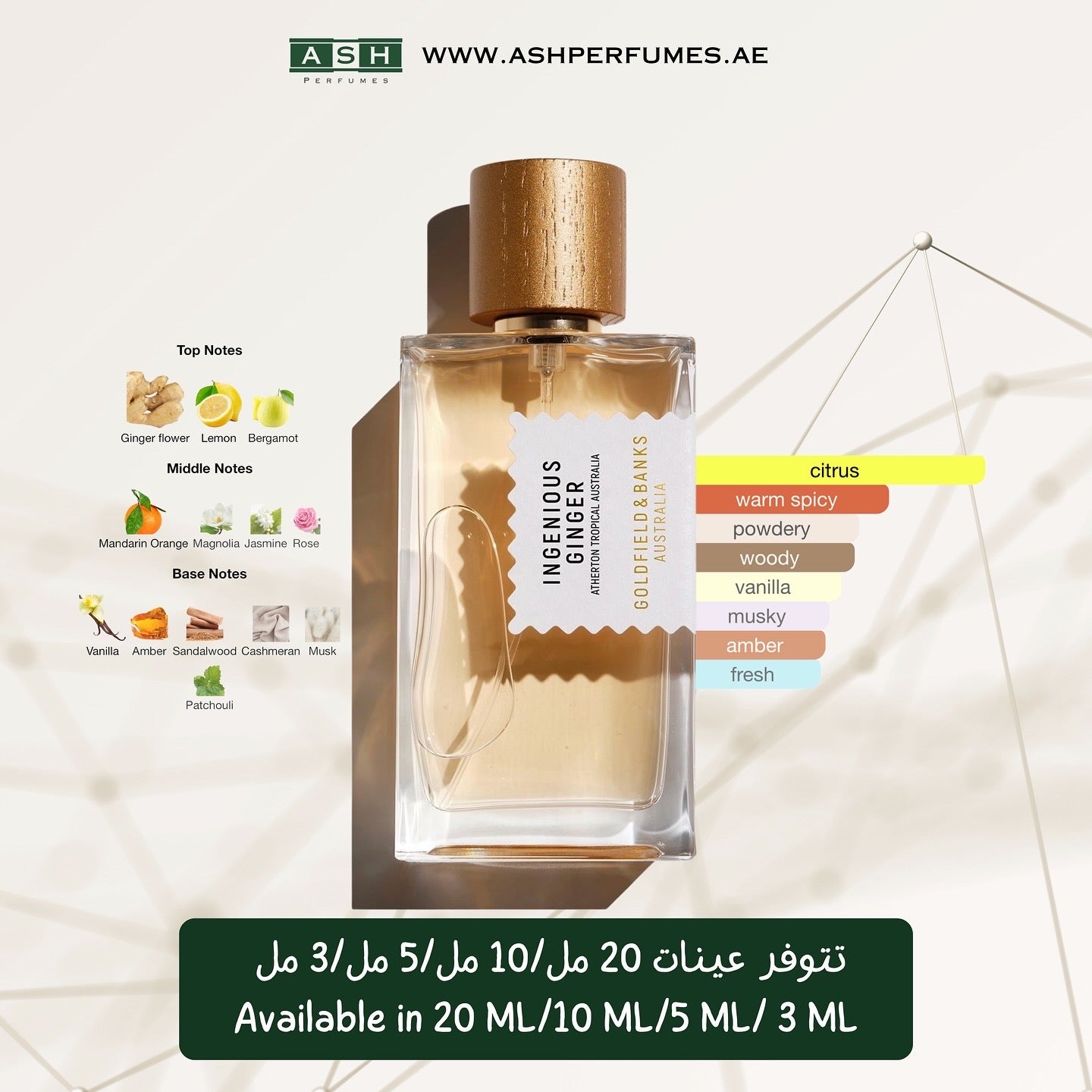 Ingenious Ginger For Unisex (3,5,10,20 ML)