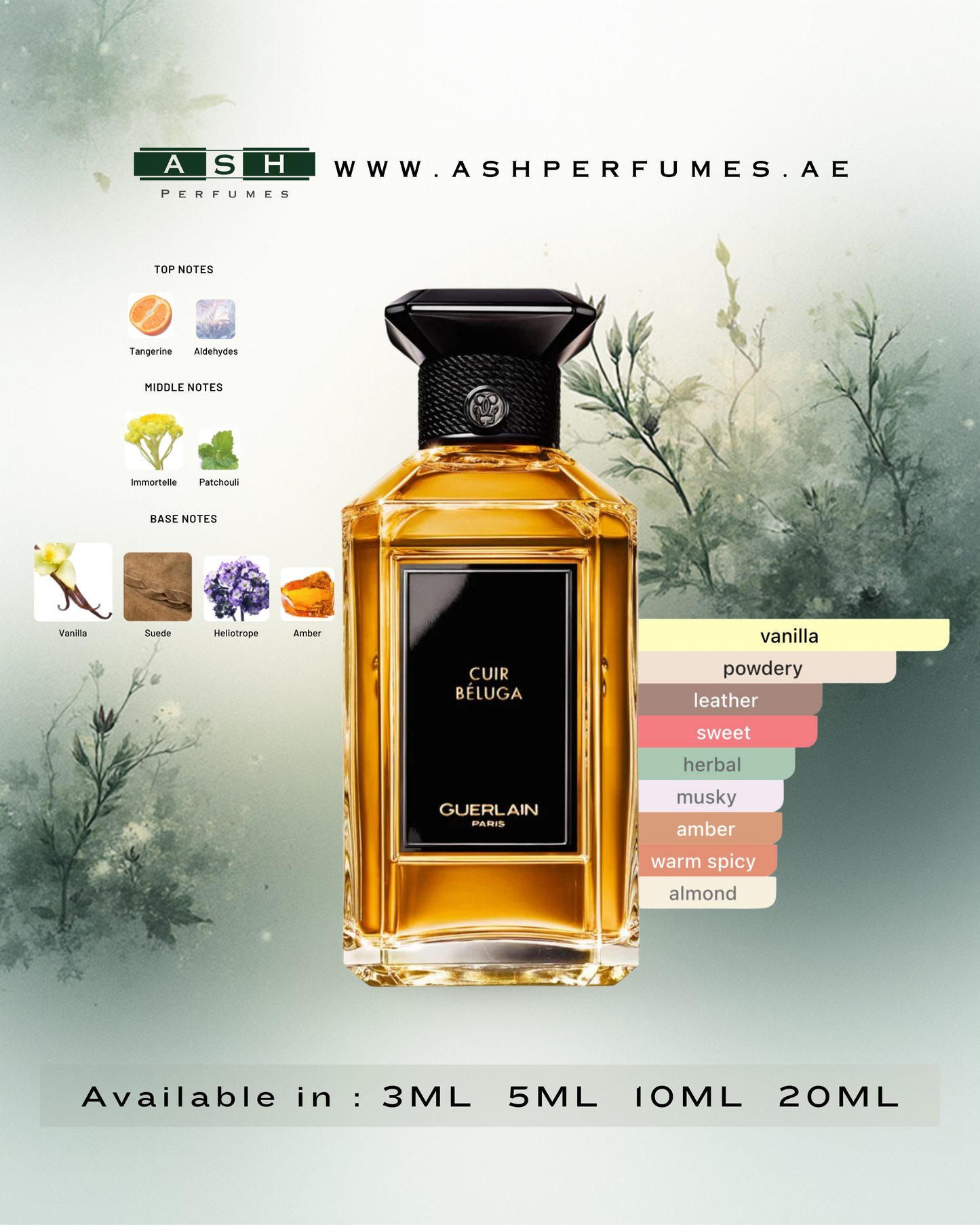 Cuir Béluga (3,5,10,20 ML)