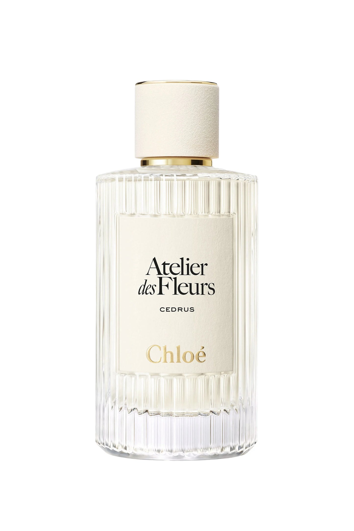 Cedrus Unisex (3,5,10,20 ML)