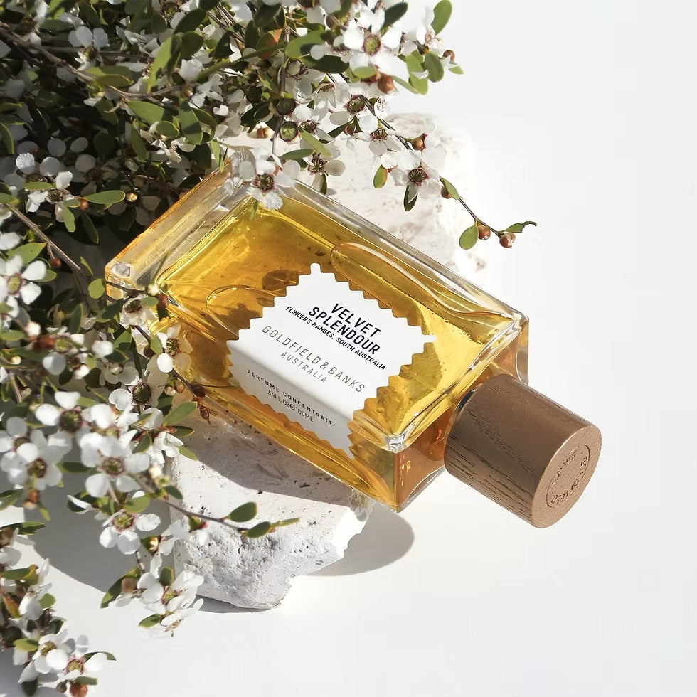 Velvet Splendour Unisex (3,5,10,20 ML)