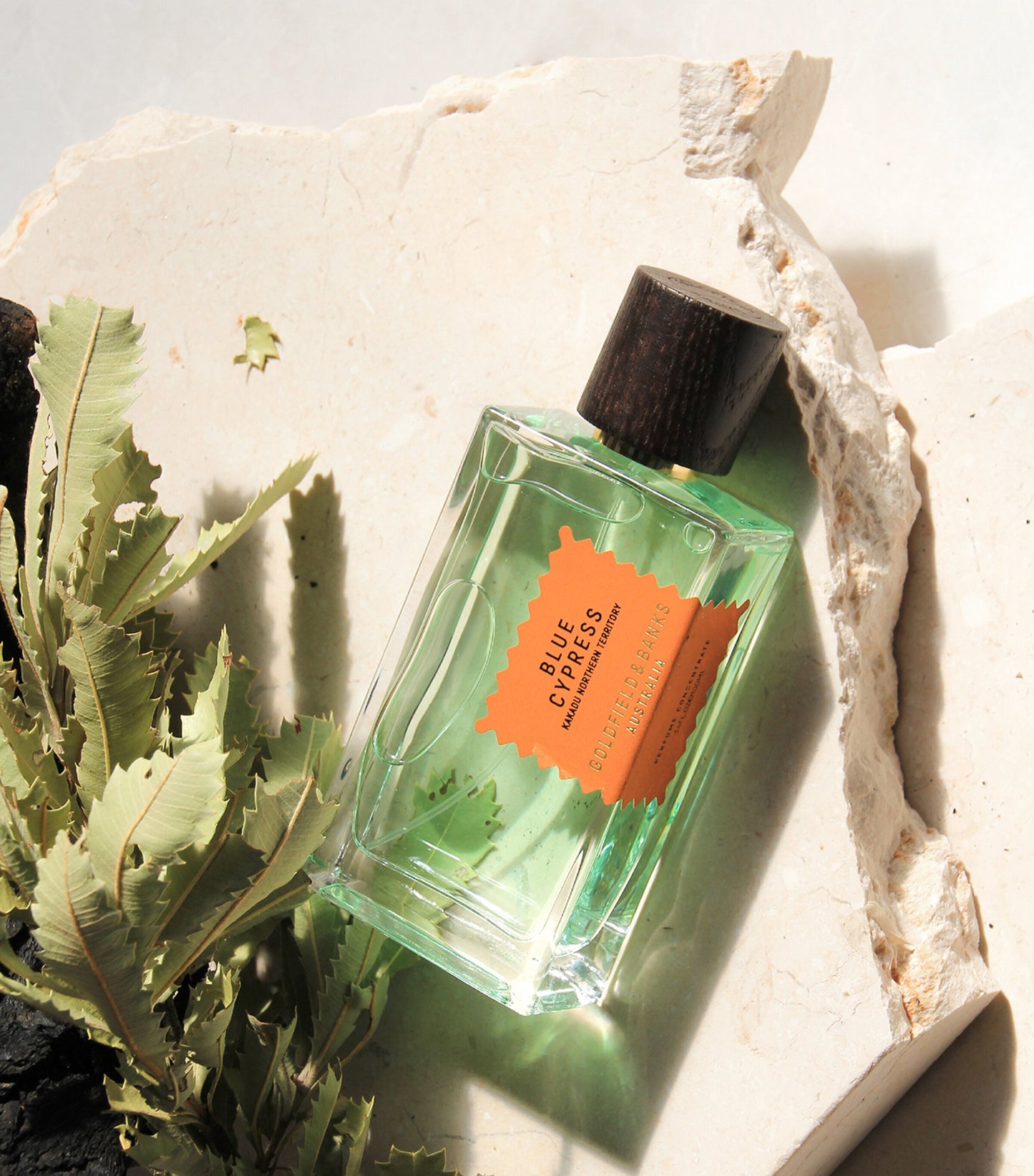 Blue Cypress Unisex (3,5,10,20 ML)